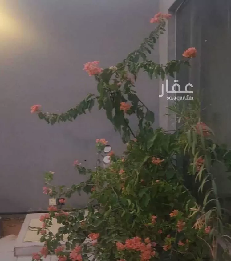 Rest House for Rent in Riyadh Al Mahdiyah