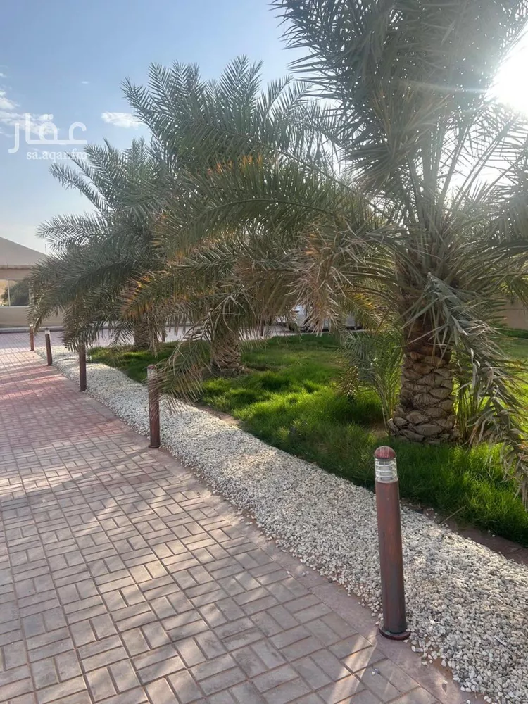 أرض للبيع في شارع , حي قريه ديراب, مدينة قريه ديراب, منطقة الرياض