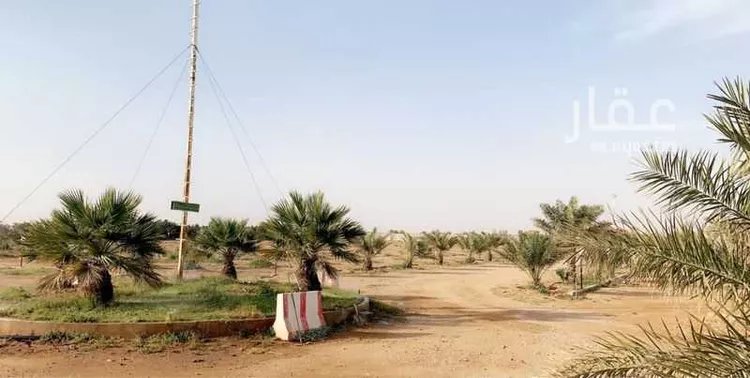 Farm for Sale in Thadiq Ad Deerah Al Kadimah 15