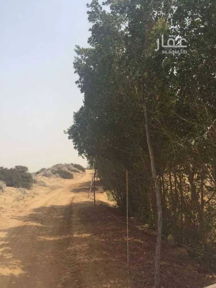 Farm for Sale in Jazan Az Zuhur 9