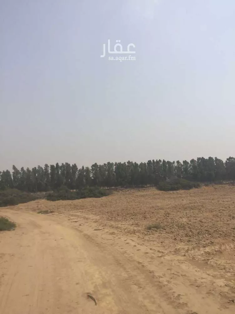 Farm for Sale in Jazan Az Zuhur 7
