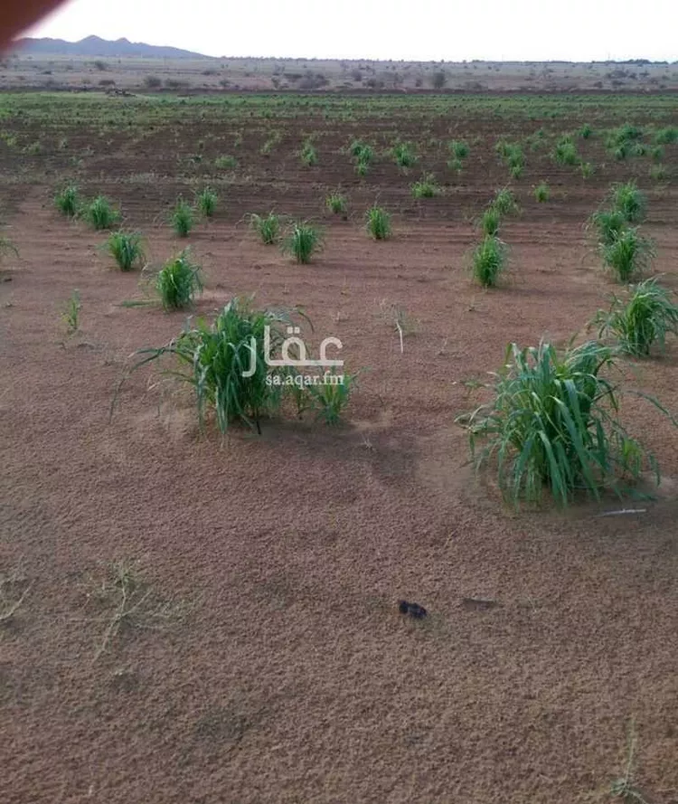 مزرعة للبيع في شارع 0000, حي المودة, مدينة صبياء, منطقة جازان