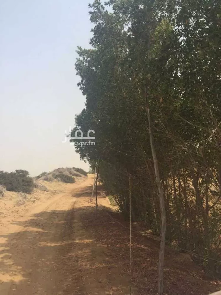 مزرعة للبيع في حي الزهور, مدينة جازان, منطقة جازان صورة 4