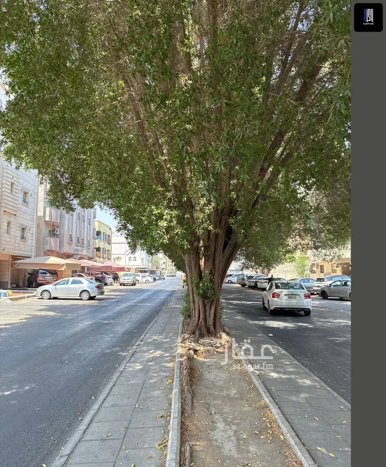 أرض للبيع في شارع حاتم الطائي, حي العزيزية, مدينة جدة, منطقة مكة المكرمة صورة 3