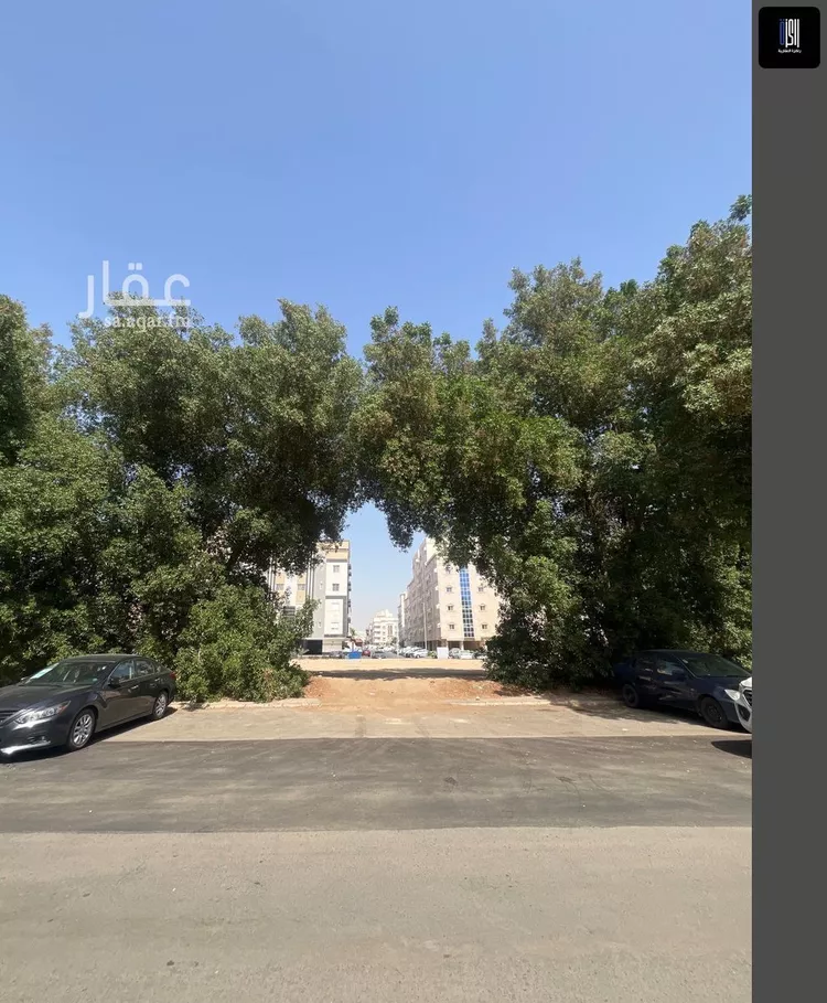 أرض للبيع في شارع أبو ثعلبه الثقفى, حي الصفاء, مدينة جدة, منطقة مكة المكرمة صورة 4