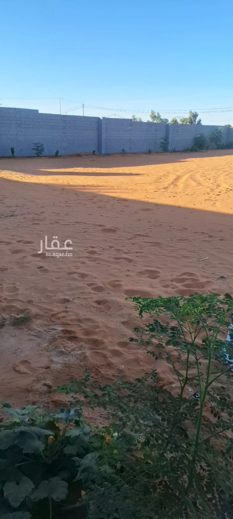 مزرعة للبيع في شارع زهرة الربيع, حي هجره الذيبيه وخضراء, مدينة هجره الذيبيه وخضراء, منطقة الرياض صورة 3