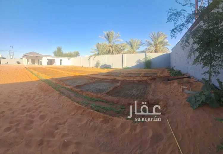 مزرعة للبيع في شارع زهرة الربيع, حي هجره الذيبيه وخضراء, مدينة هجره الذيبيه وخضراء, منطقة الرياض