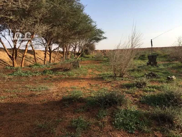 مزرعة للبيع في شارع شارع , مدينة جوى, منطقة الرياض صورة 2