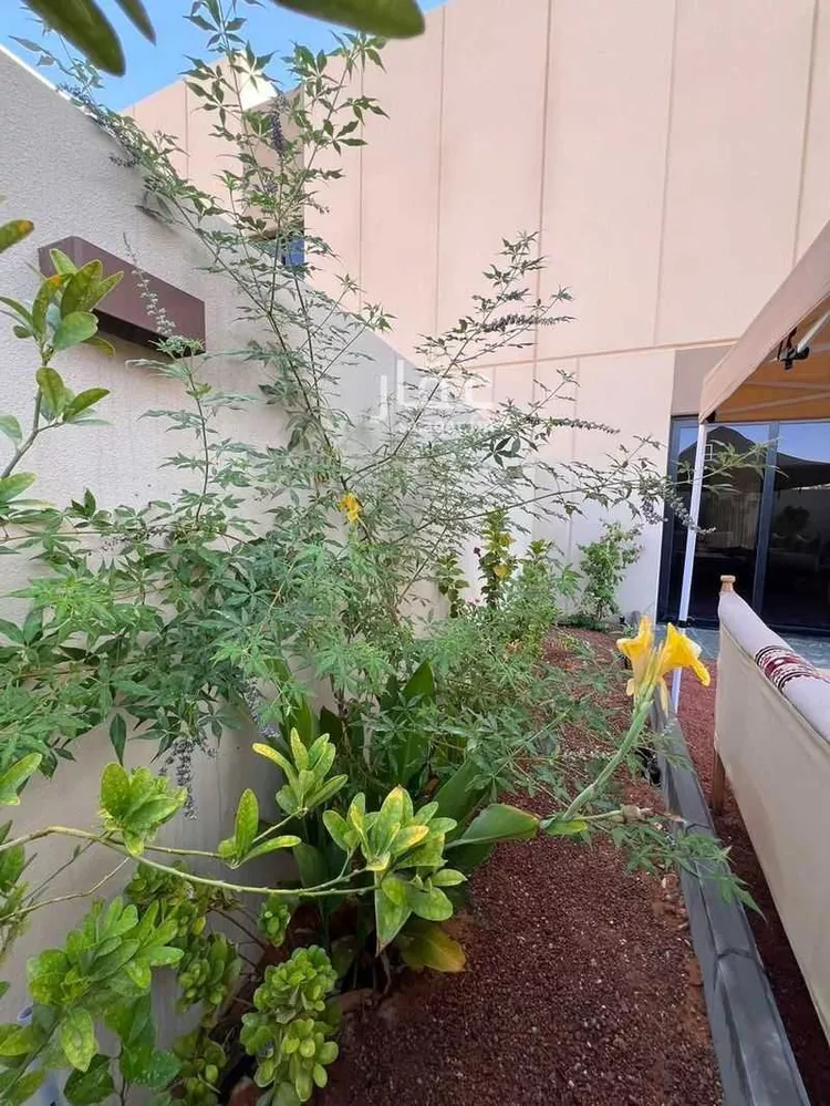 Villa for Rent in Riyadh Al Munsiyah 6