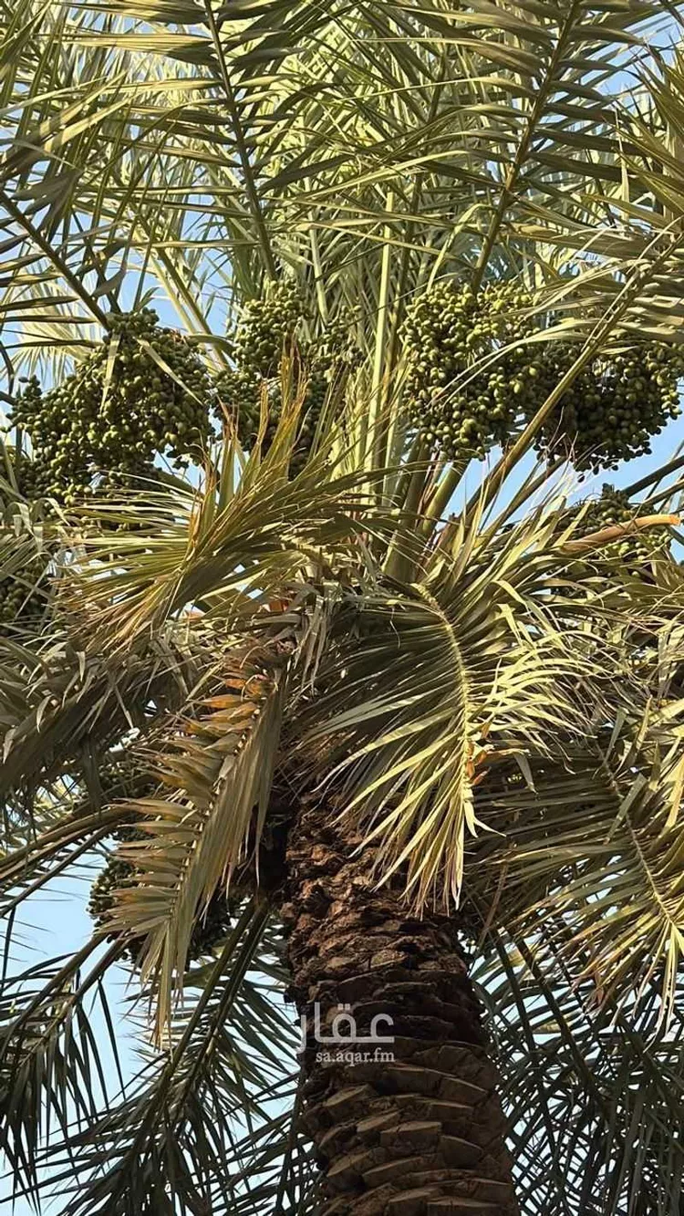 استراحة للبيع في شارع فيصل بن عبدالعزيز, حي الحزم, مدينة حريملاء, منطقة الرياض صورة 3