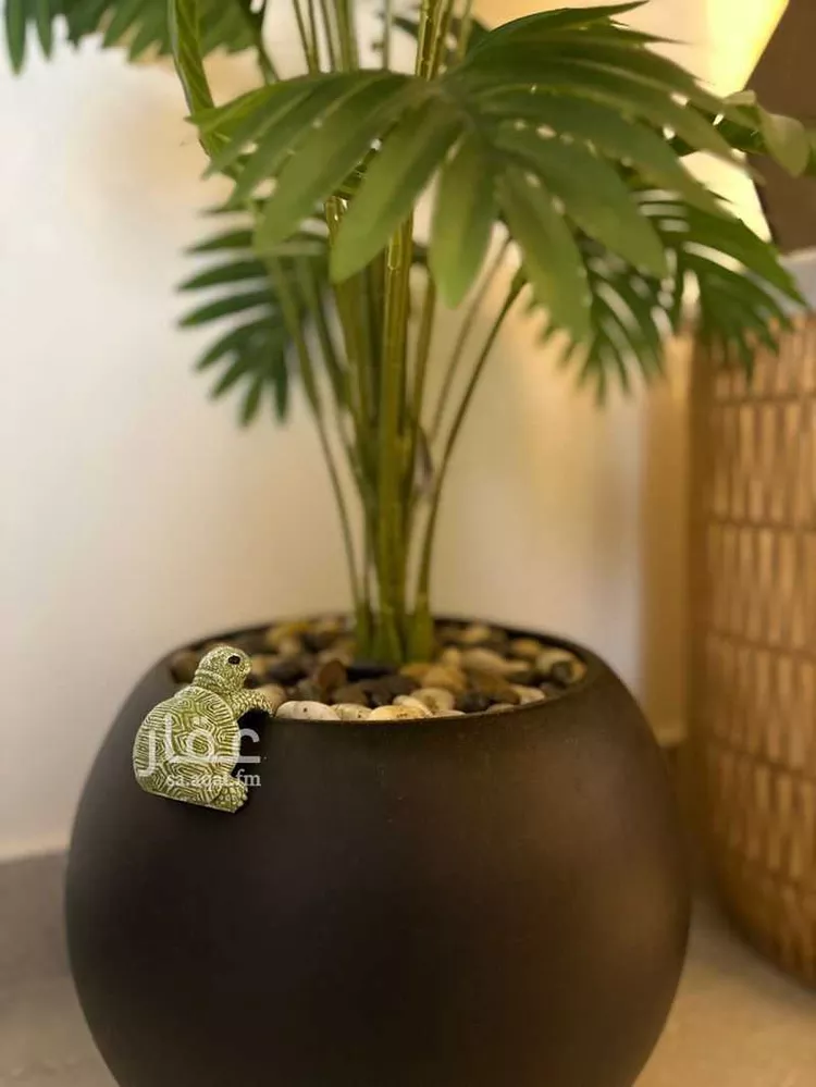 شقة للإيجار في شارع محمد بن سعيد ، حي السلامة ، جدة ، جدة صورة 4