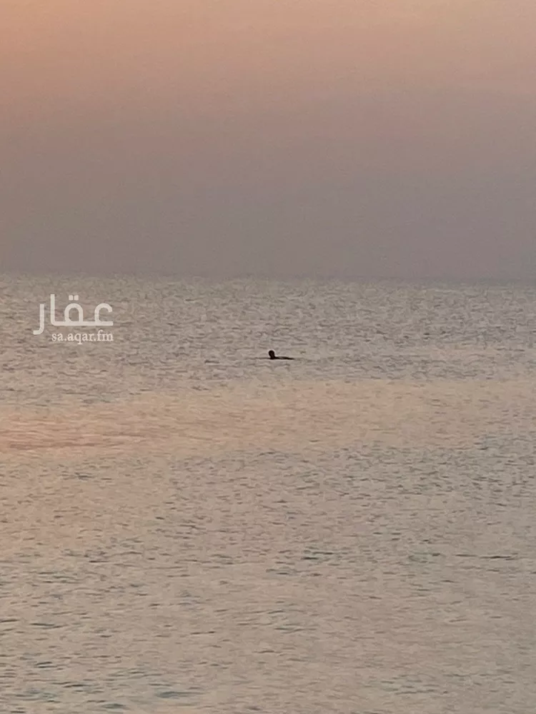 شقة للإيجار في شارع اليرموك, حي العقربية, مدينة الخبر, المنطقة الشرقية صورة 5