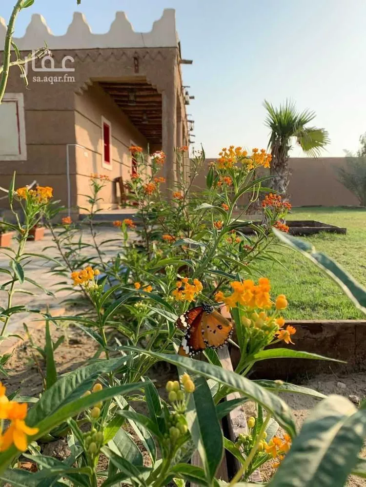 استراحة للبيع في حي هجره الزومان (هجرة ابوطينه), مدينة هجره الزومان (هجرة ابوطينه), المنطقة الشرقية صورة 4