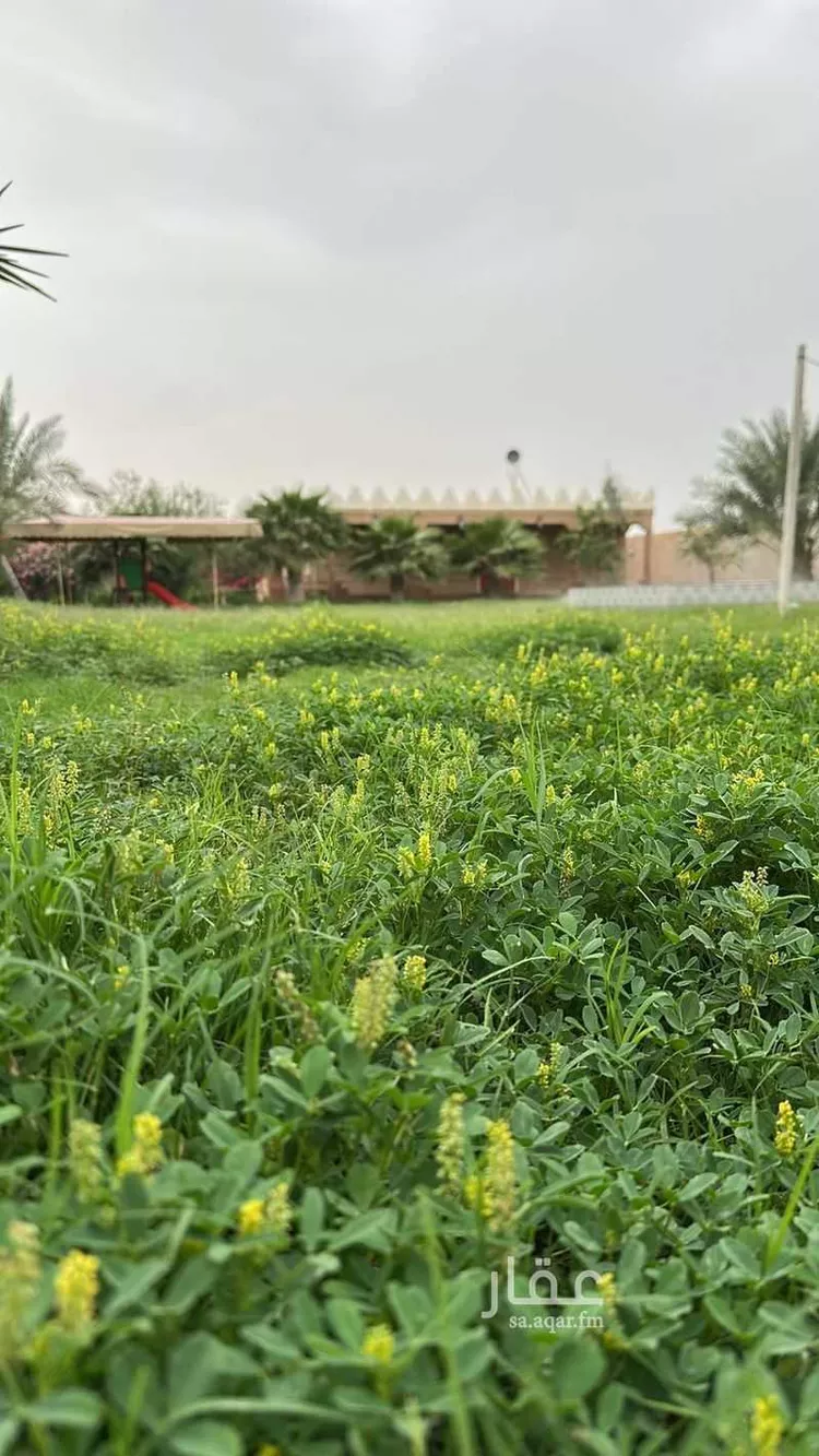 استراحة للبيع في حي هجره الزومان (هجرة ابوطينه), مدينة هجره الزومان (هجرة ابوطينه), المنطقة الشرقية صورة 5