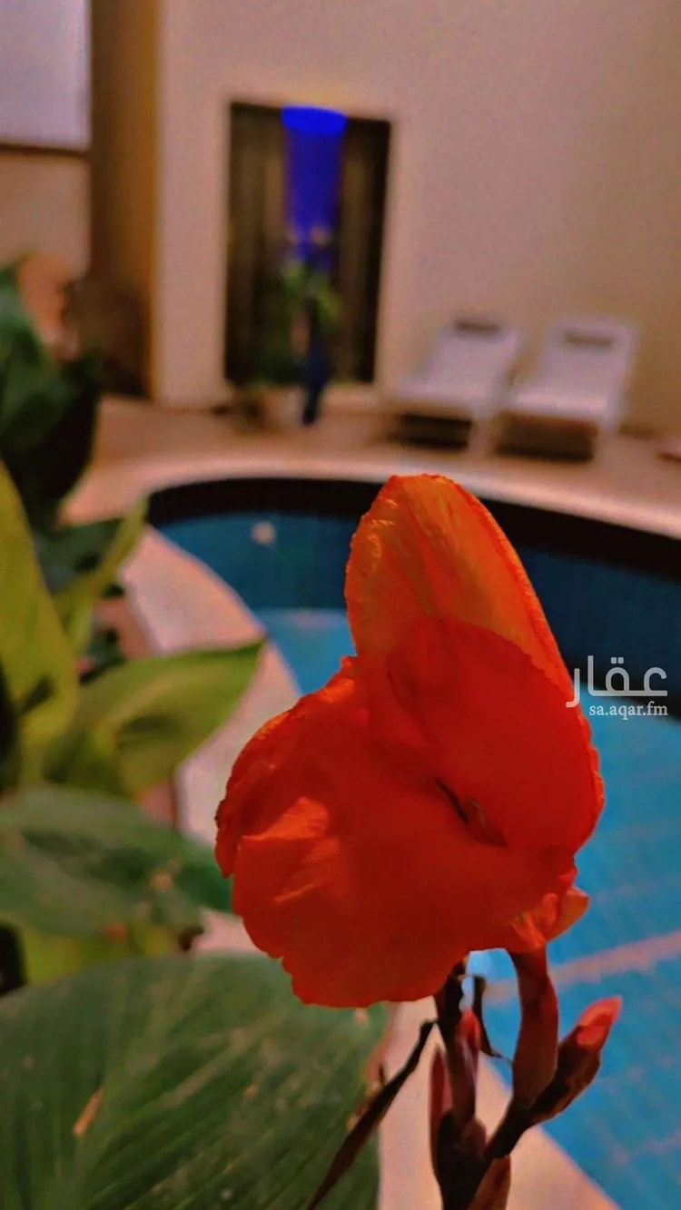 فيلا للبيع في شارع يثرب, حي الفلاح, مدينة الرياض, منطقة الرياض صورة 3