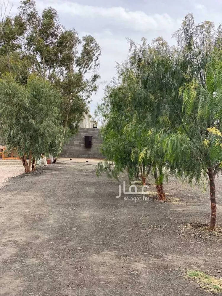 Camp for booking in Abha As Sharafiyah 7