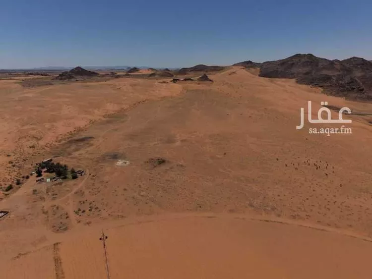 Farm for Sale in Hail An Nasim صورة 3