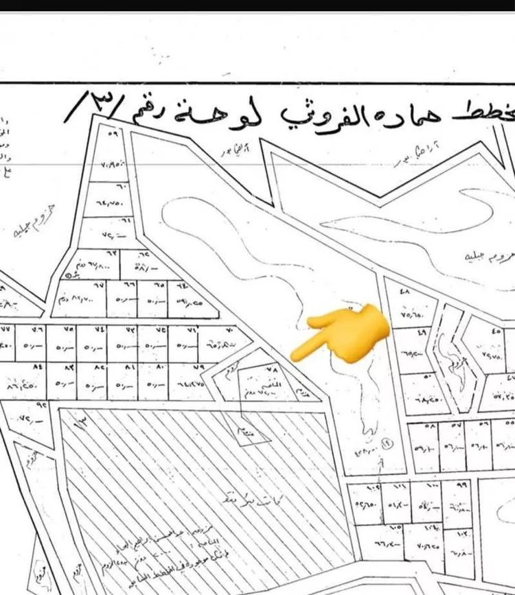 أرض للبيع في حي حماده الفروثى, مدينة حماده الفروثى, منطقة الرياض