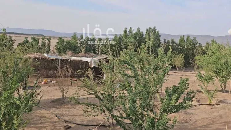 أرض للبيع في شارع عسفان 363 ، المقيطيع ، الجموم صورة 4