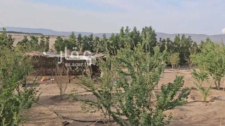 أرض للبيع في شارع عسفان 363 ، المقيطيع ، الجموم صورة 2