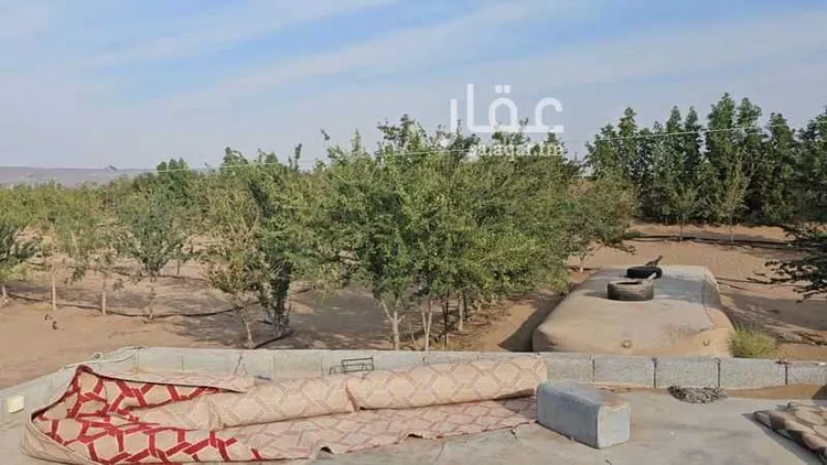 أرض للبيع في شارع عسفان 363 ، المقيطيع ، الجموم صورة 3