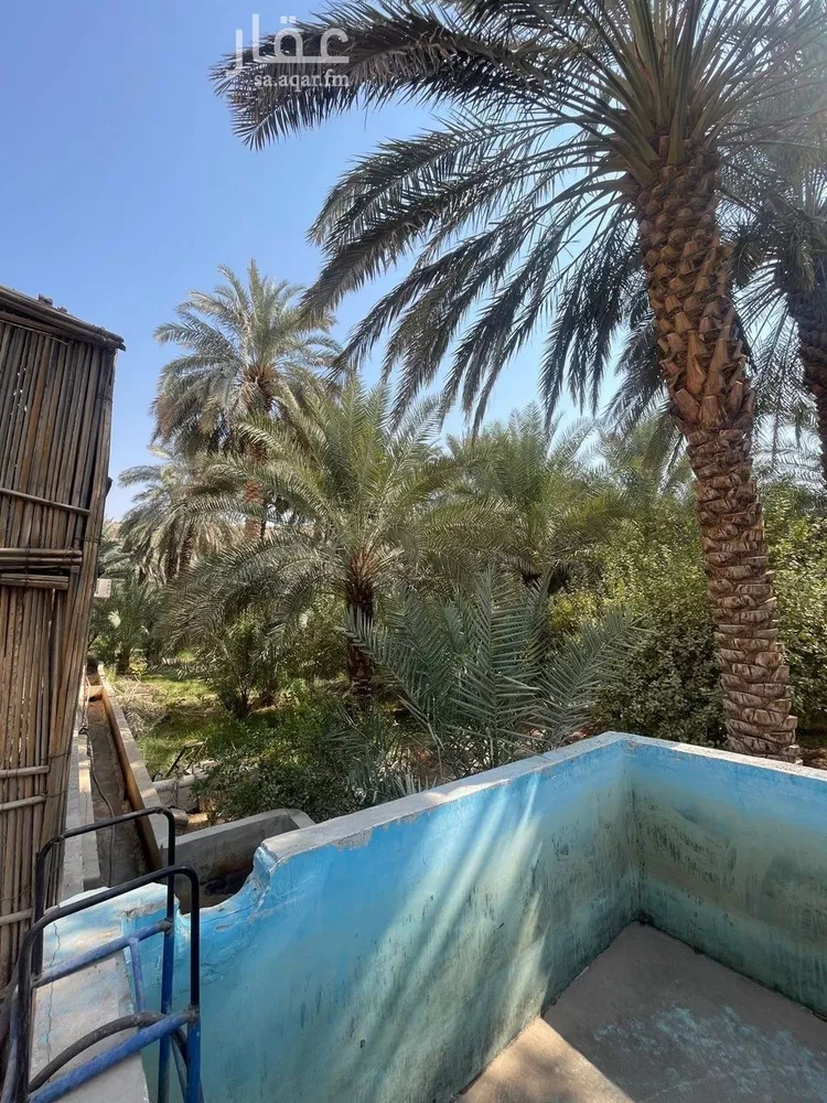 مزرعة للبيع في شارع بدون, حي عريض, مدينة الرياض, منطقة الرياض 8
