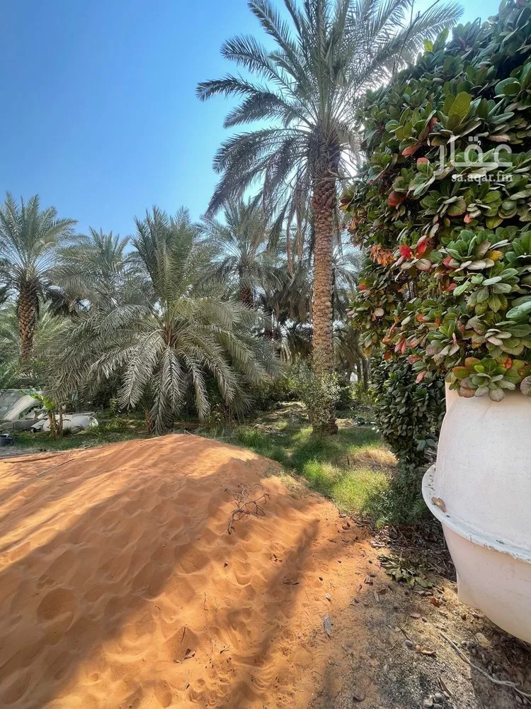 مزرعة للبيع في حي عريض, مدينة الرياض, منطقة الرياض صورة 3