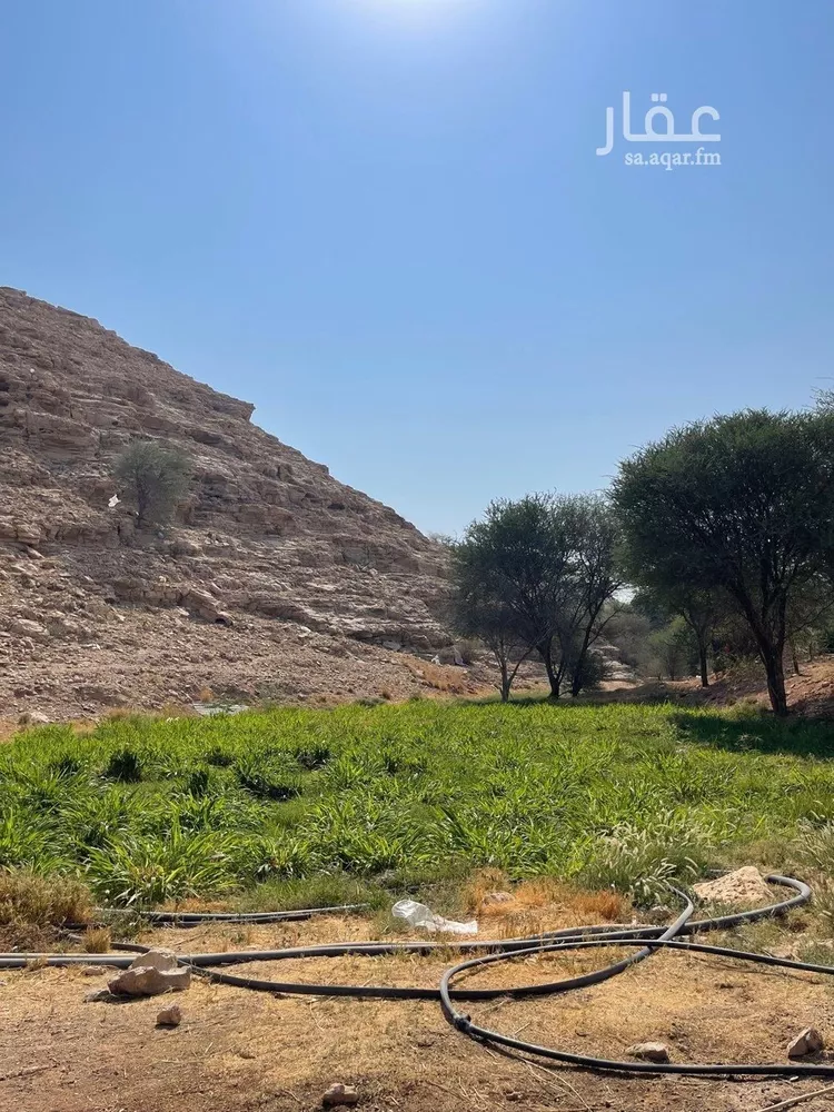 مزرعة للبيع في شارع بدون, حي عريض, مدينة الرياض, منطقة الرياض 7