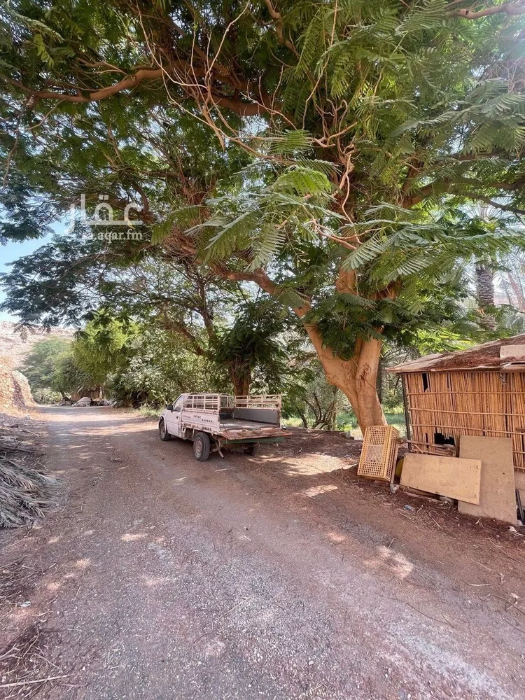 مزرعة للبيع في حي عريض, مدينة الرياض, منطقة الرياض صورة 2