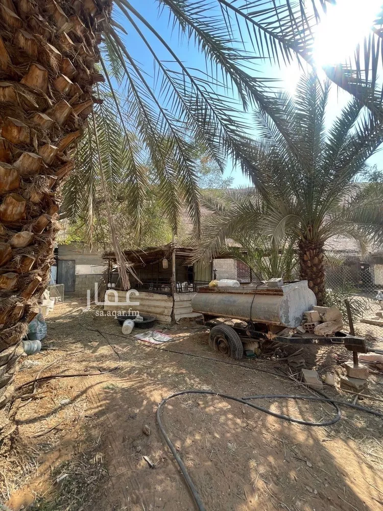 مزرعة للبيع في شارع بدون, حي عريض, مدينة الرياض, منطقة الرياض 6