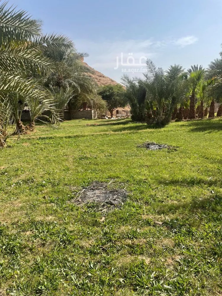 مزرعة للبيع في حي عريض, مدينة الرياض, منطقة الرياض صورة 4