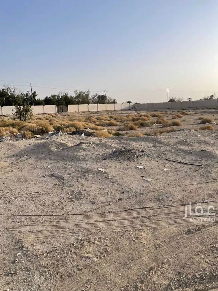 أرض للإيجار في شارع 6162153, حي منطقة الغويبة الزراعية, مدينة الاحساء, المنطقة الشرقية