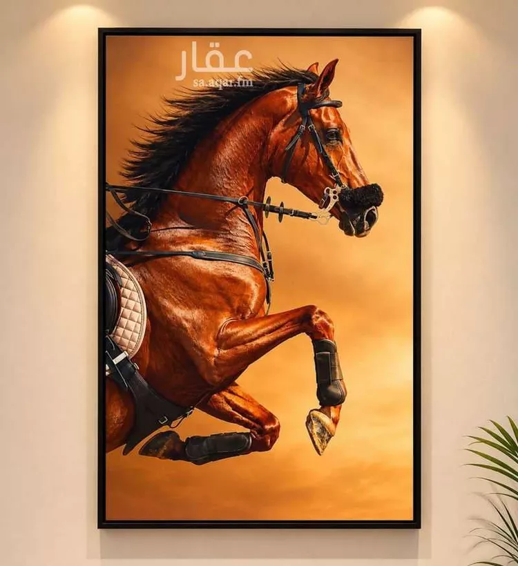 استديو مفروش للحجز في الدمام 6