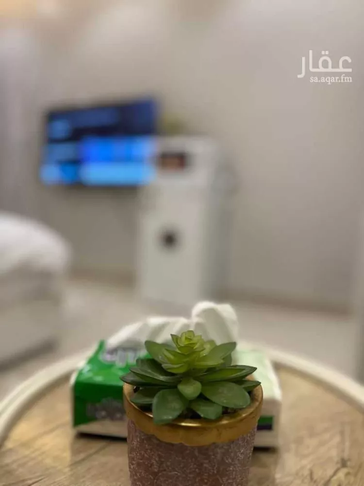 استديو مفروش للحجز في حي العقيق ، الرياض ، منطقة الرياض صورة 5