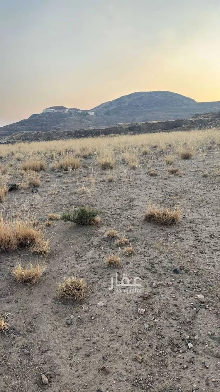 أرض للبيع في حي الزهور, مدينة أبها, منطقة عسير صورة 4