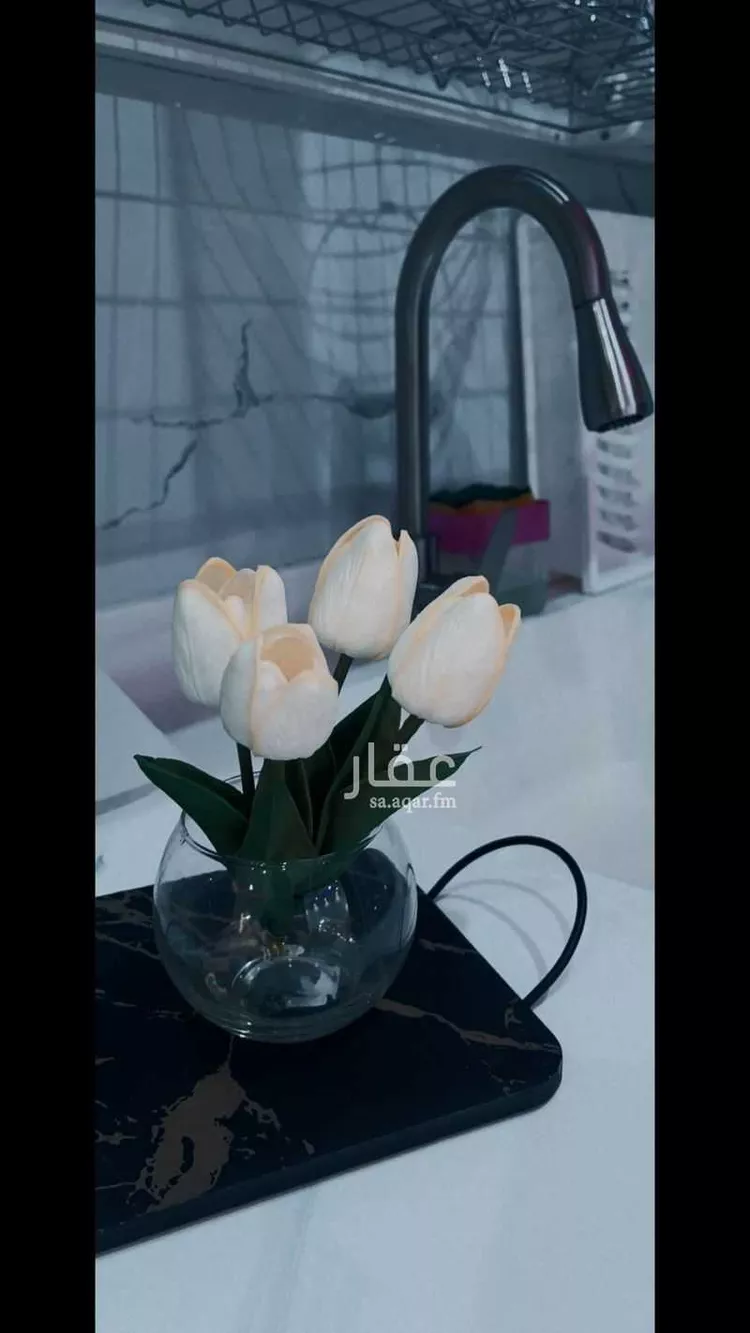 Furnished Apartment for Booking in Riyadh Al Fakhiriyah 18