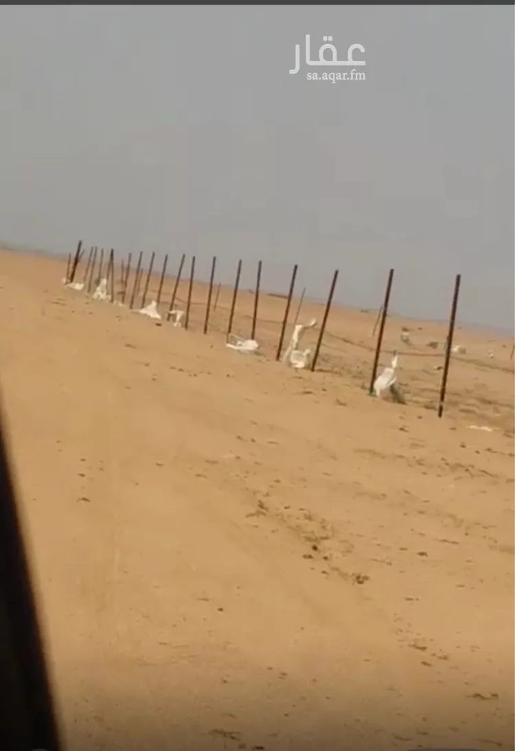 أرض للبيع في شارع مركز البتراء بالجهة الشمالية , حي البتراء, مدينة البتراء, منطقة القصيم صورة 3