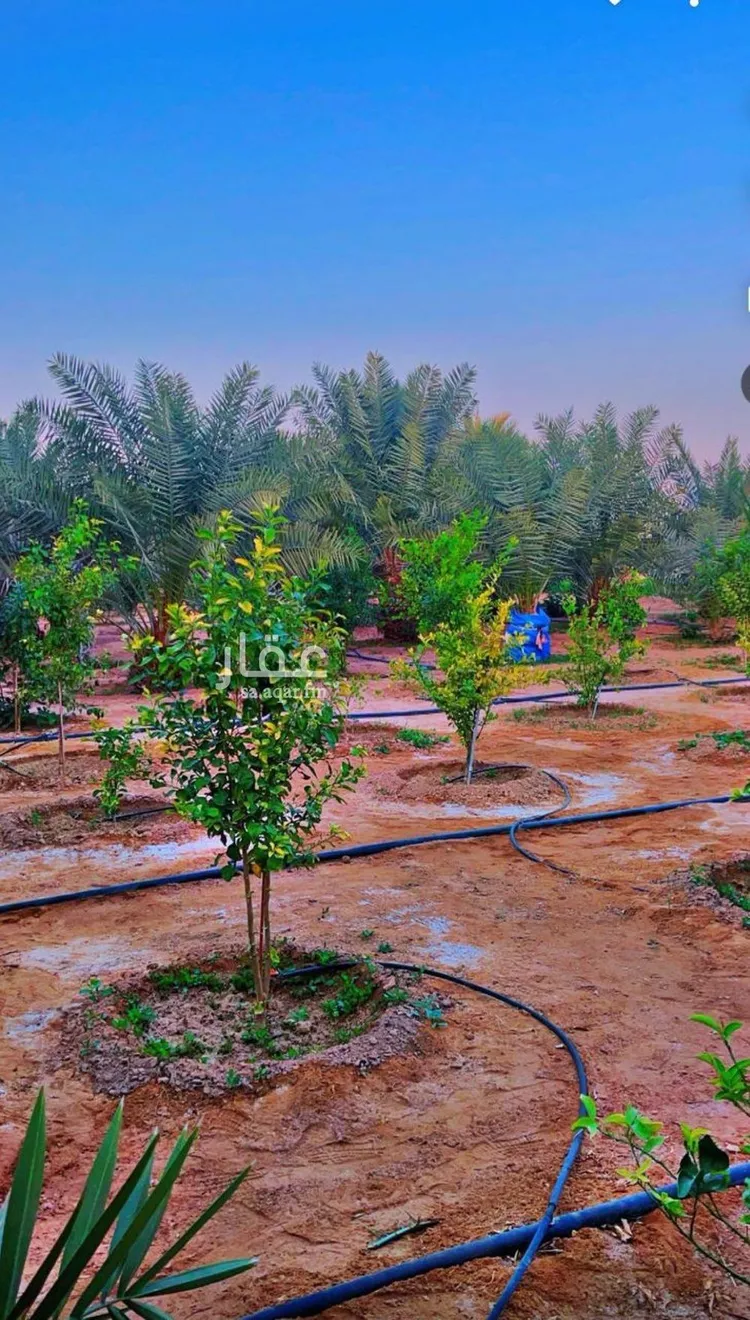 استراحة للبيع في شارع سعد بن معاذ, حي النهضة, مدينة الدلم, منطقة الرياض صورة 5