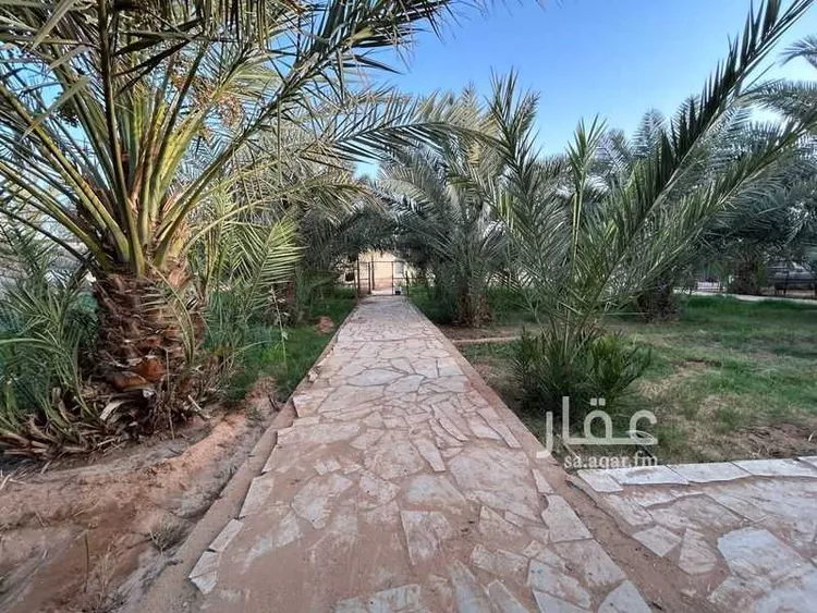 استراحة للبيع في حي النهضة, مدينة الدلم, منطقة الرياض صورة 4