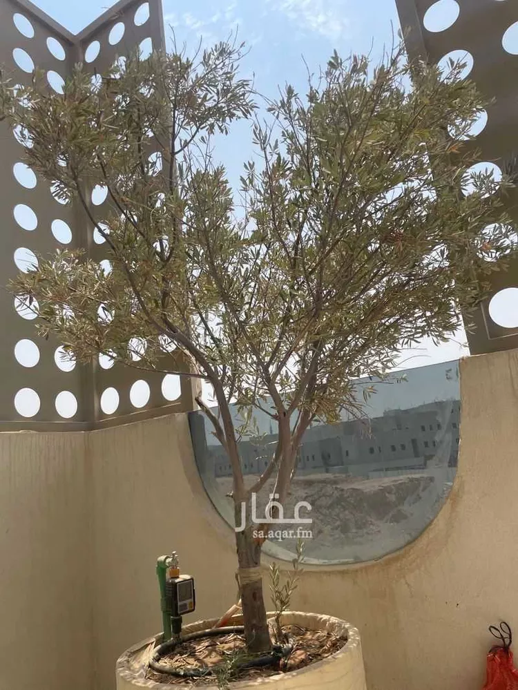 دور للإيجار في شارع 29808834, حي الصفاء, مدينة الرياض, منطقة الرياض 6