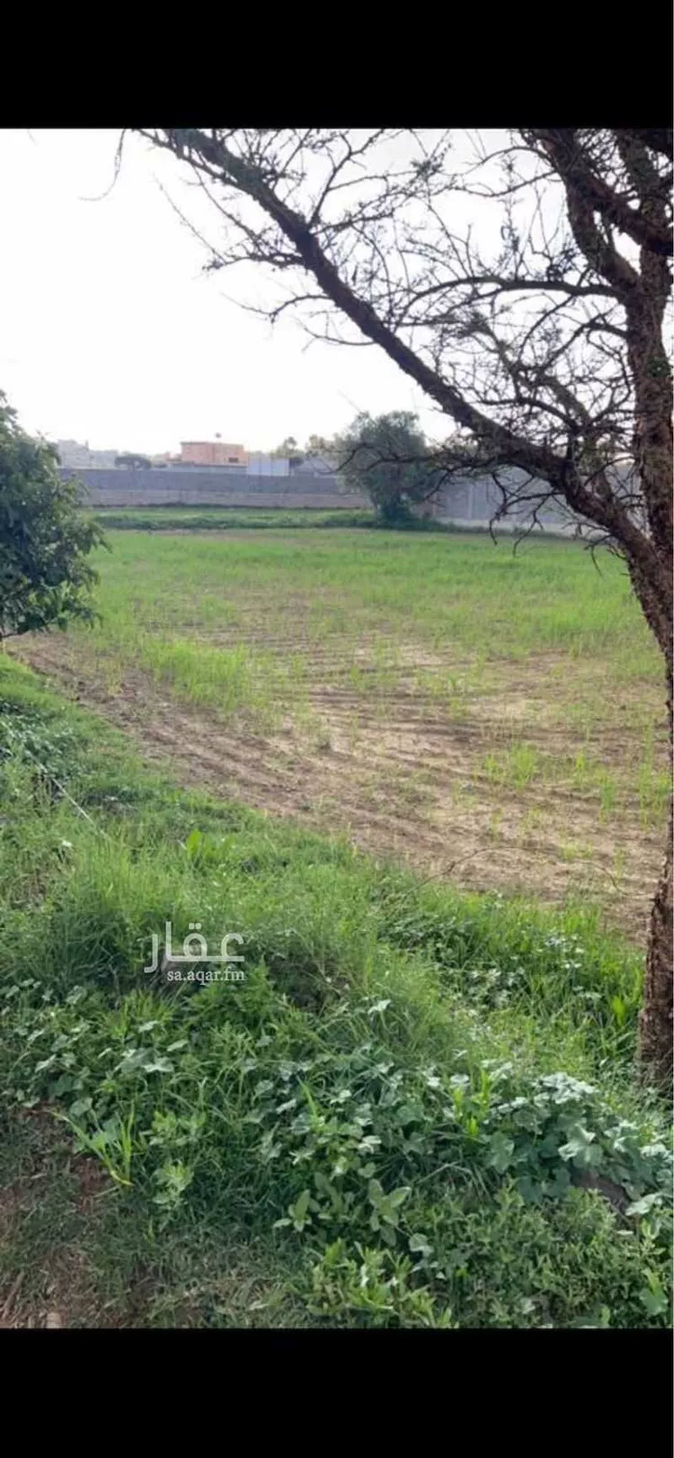 شاليه واستراحة للحجز في شارع مصاولي 3168 ، الوغل ، منطقة عسير صورة 2