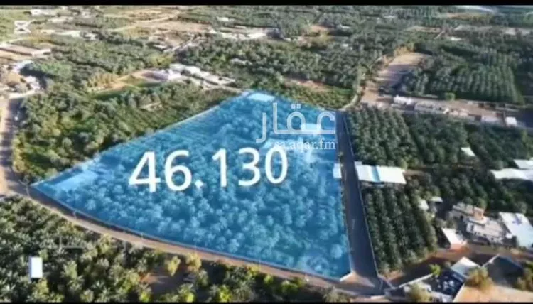Farm for Sale in Medina As Sadiqiyyah صورة 2