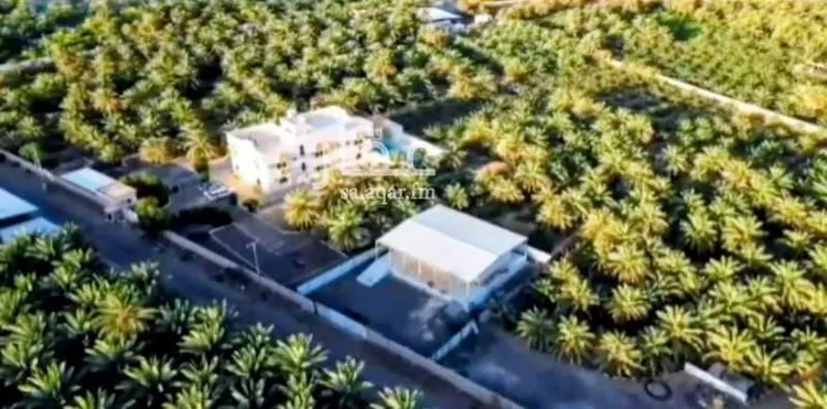 مزرعة للبيع في شارع العيون, حي العيون, مدينة المدينة المنورة, منطقة المدينة المنورة صورة 3