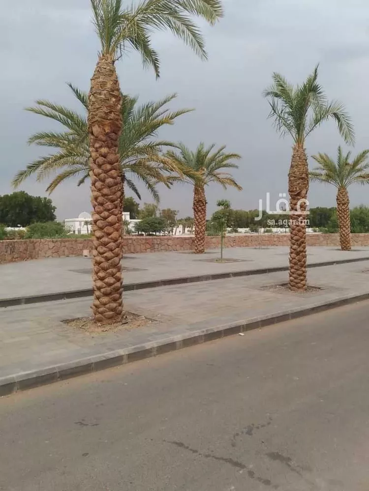 فيلا للبيع في شارع كورنيش وادي العقيق, حي القبلتين, مدينة المدينة المنورة, منطقة المدينة المنورة صورة 3
