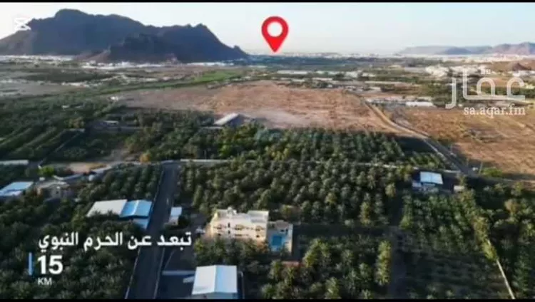 مزرعة للبيع في شارع العيون, حي العيون, مدينة المدينة المنورة, منطقة المدينة المنورة