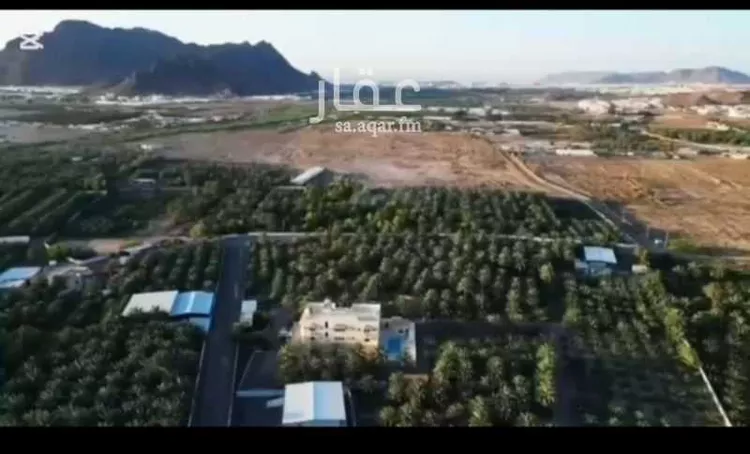 مزرعة للبيع في شارع العيون, حي العيون, مدينة المدينة المنورة, منطقة المدينة المنورة صورة 4