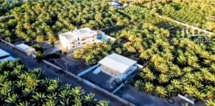 Farm for Sale in Medina As Sadiqiyyah صورة 3