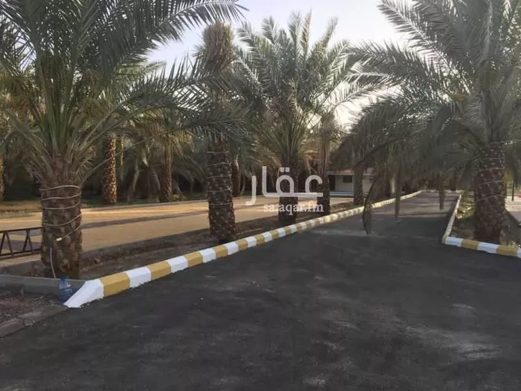 مزرعة للبيع في حي الصادقية, مدينة المدينة المنورة, منطقة المدينة المنورة 8