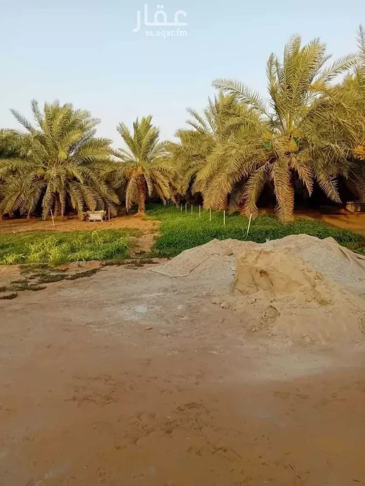 مزرعة للبيع في شارع الضبيعة 12, حي الضبيعة, مدينة الخرج, منطقة الرياض