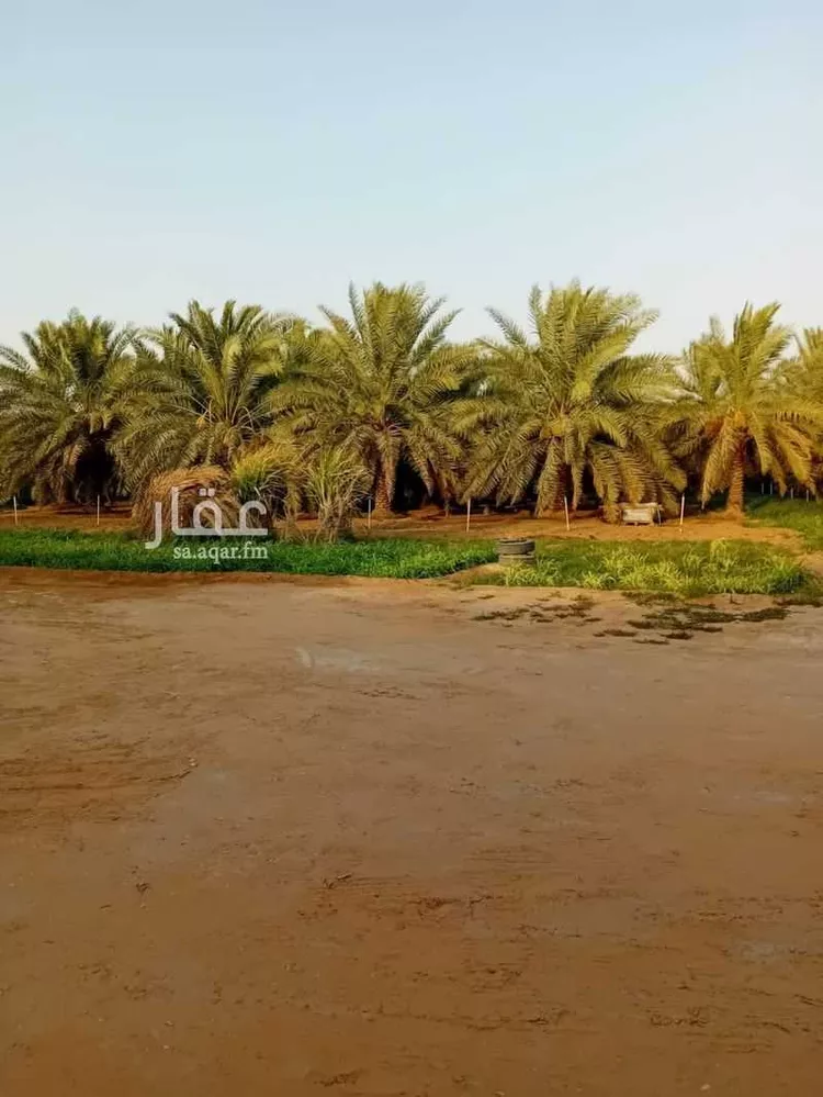 مزرعة للبيع في شارع الضبيعة 12, حي الضبيعة, مدينة الخرج, منطقة الرياض صورة 3